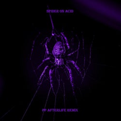 Spider On Acid (PP "Afterlife" Remix)