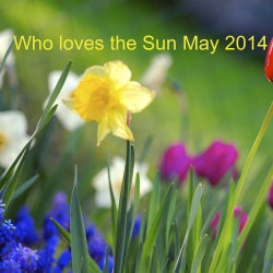 Who loves the Sun May 2014 Chart