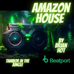 Tambor in the jungle-amazon house