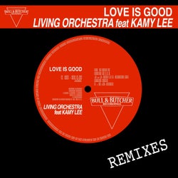 Love Is Good (feat. Kamy Lee) [Remixes]