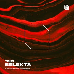 Selekta (Extended Mix)