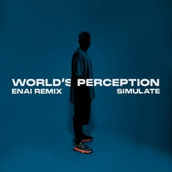 World's Perception Remix Chart