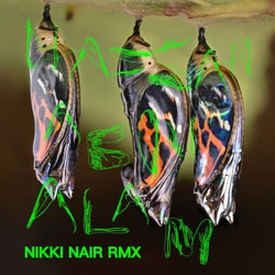 Ice (Nikki Nair Remix)