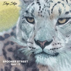 Say It