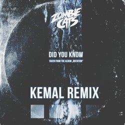 Did You Know (Kemal Remix)