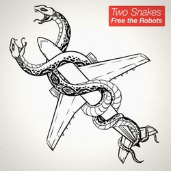 Two Snakes
