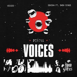 Voices (Radio Mix)