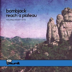 Reach A Plateau