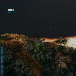 Feel It