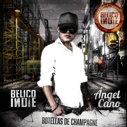 Botellas De Champagne