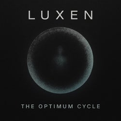 THE OPTIMUM CYCLE