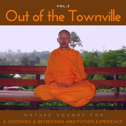 Out Of The Townville - Nature Sounds For A Soothing & Refreshing Meditation Experience, Vol.2
