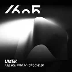 Are You Into My Groove EP