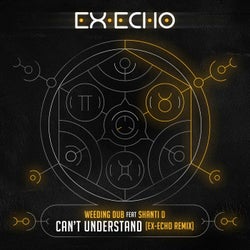 Can't Understand (feat. Shanti D) [Ex-Echo Remix]