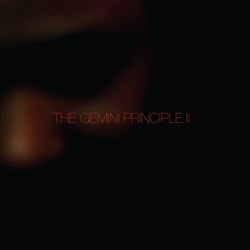 The Gemini Principle, Pt.2