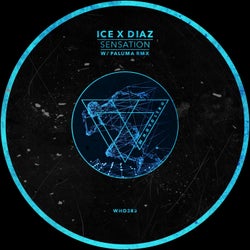 Sensation (w/ Paluma Rmx)