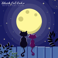 Moonlight Cats