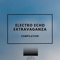 Electro Echo Extravaganza