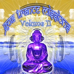 Goa Trance Missions, Vol. 11