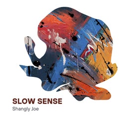 Slow Sense