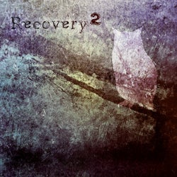 Recovery 2