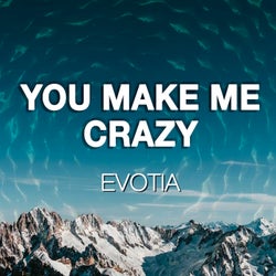 You Make Me Crazy