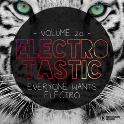 Electrotastic Vol. 20