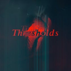 Thresholds (Radio Edit)