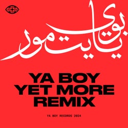 Ya Boy - Yet More Remix