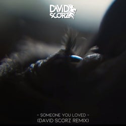 Someone You Loved (Remix)