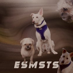 ESMSTS