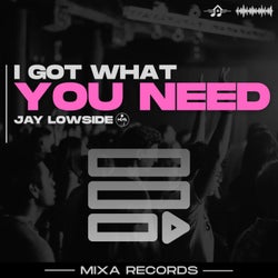 I Got What You Need