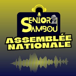 Assemblée Nationale