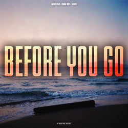 Before You Go