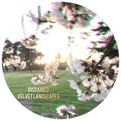Velvet Landscapes