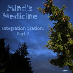 Integration Station:, Pt. 2