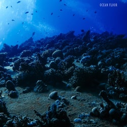 Ocean Floor