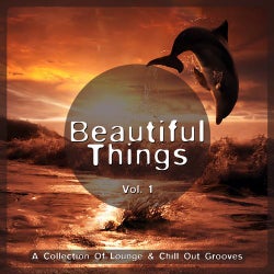 Beautiful Things Vol. 1 (A Collection Of Lounge & Chill Out Grooves)