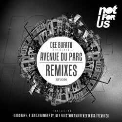 Avenue Du Parc Remixes EP