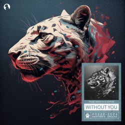 Without You (Extended Mix)