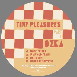 Tiny Pleasures - Part 1