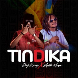 TINDIKA
