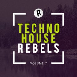 Techno House Rebels, Vol. 7