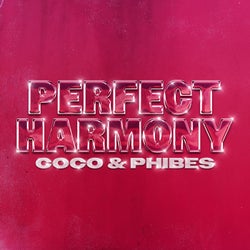 Perfect Harmony (Extended Mix)