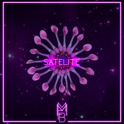 Satelite