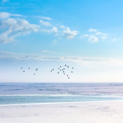 The Calm