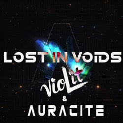 Lost in Voids (feat. vioLit)