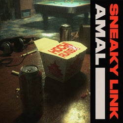 sneaky link