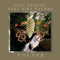 Volver (feat. Kira Kaluma)