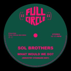 What Would We Do (Industry Standard Edit)